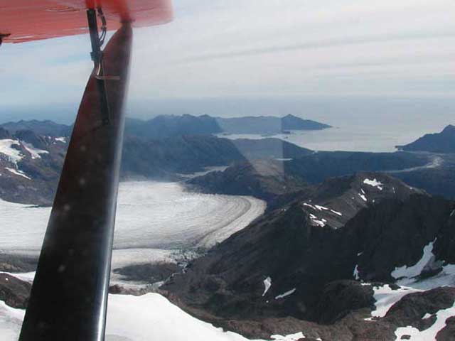 under the wing down Petrof Glacier to Nuka Is.